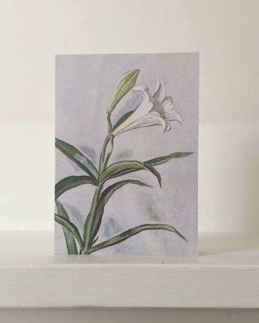 kiku print : greeting card - lily $3.40